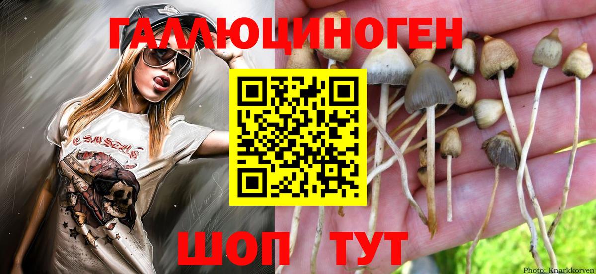 Галлюциногенные грибы GOLDEN TEACHER Петровск